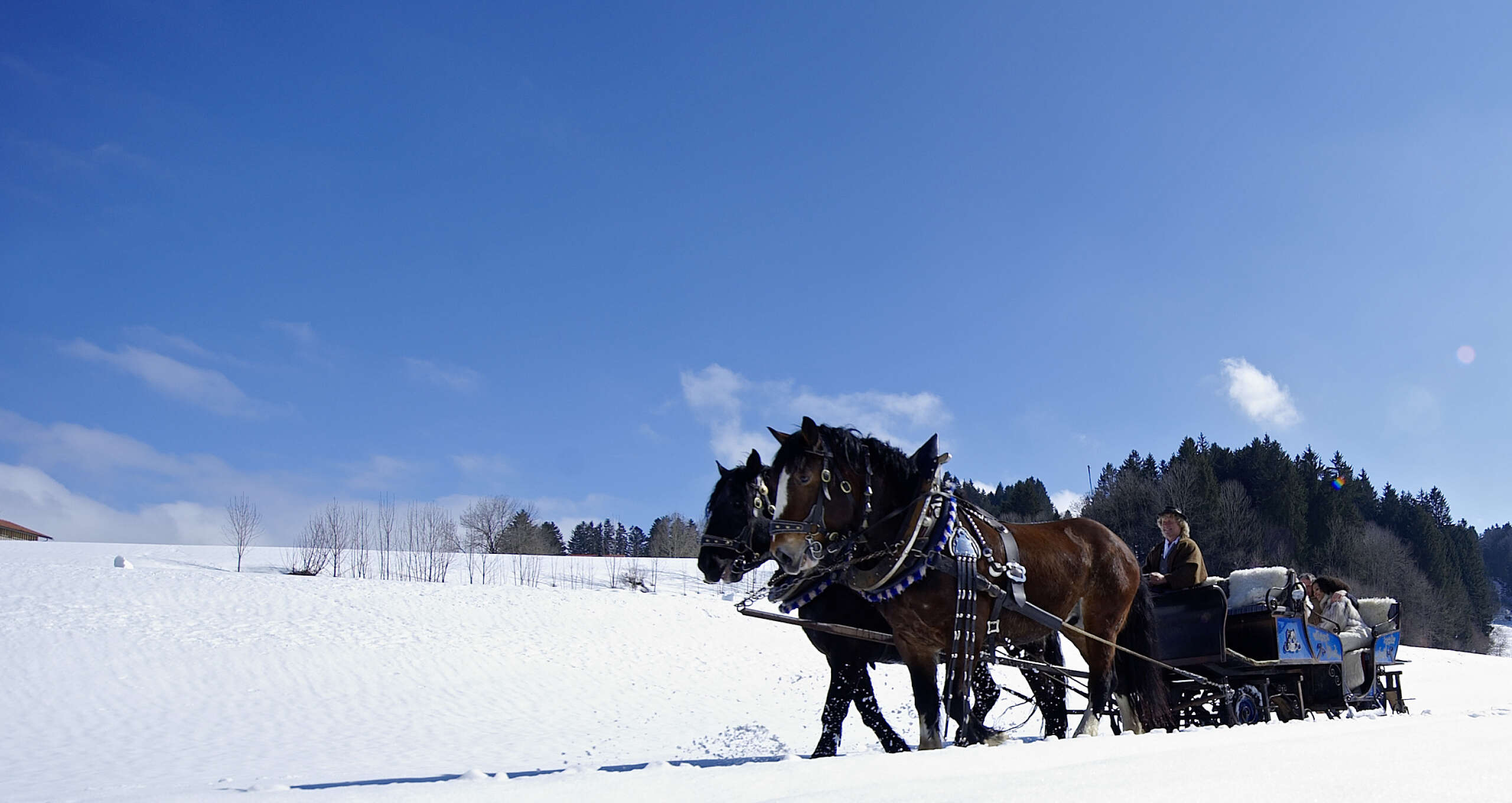 Zwei Pferde ziehen einen Schlitten mit drei Insassen durch eine verschneite Landschaft an einem sonnigen Tag.