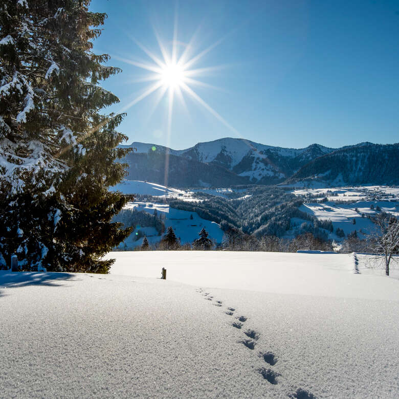 Der schneebedeckte Hochgrat an einem sonnigen Wintertag.