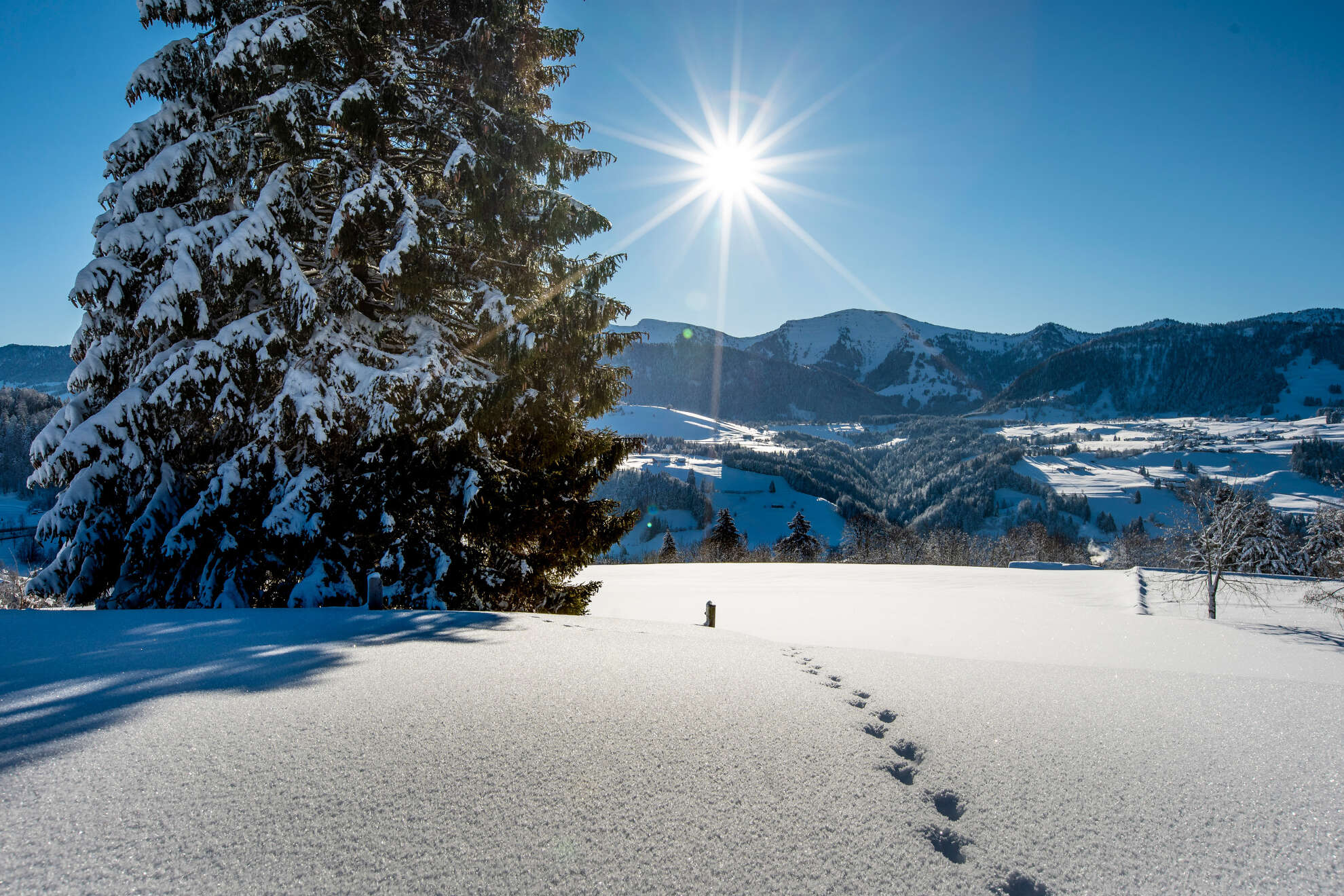 Wintersonne über dem schneebedeckten Hochgrat im Naturpark Nagelfluhkette.