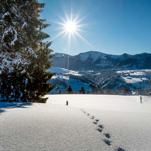 Sonnenschein im verschneiten Oberstaufen