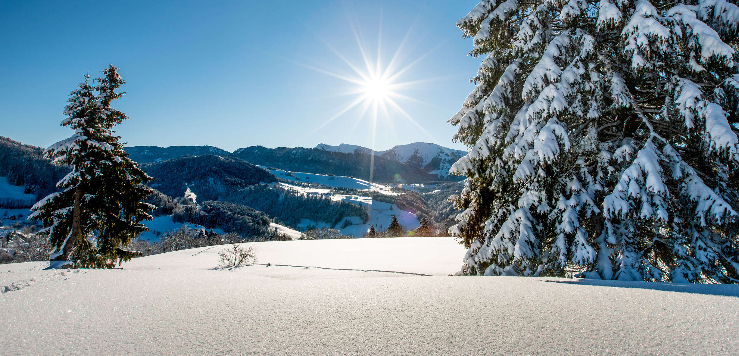 Unberührte Natur, glitzernder Tiefschnee und die Wintersonne machen Oberstaufen im Allgäu zum Winterwunderland.