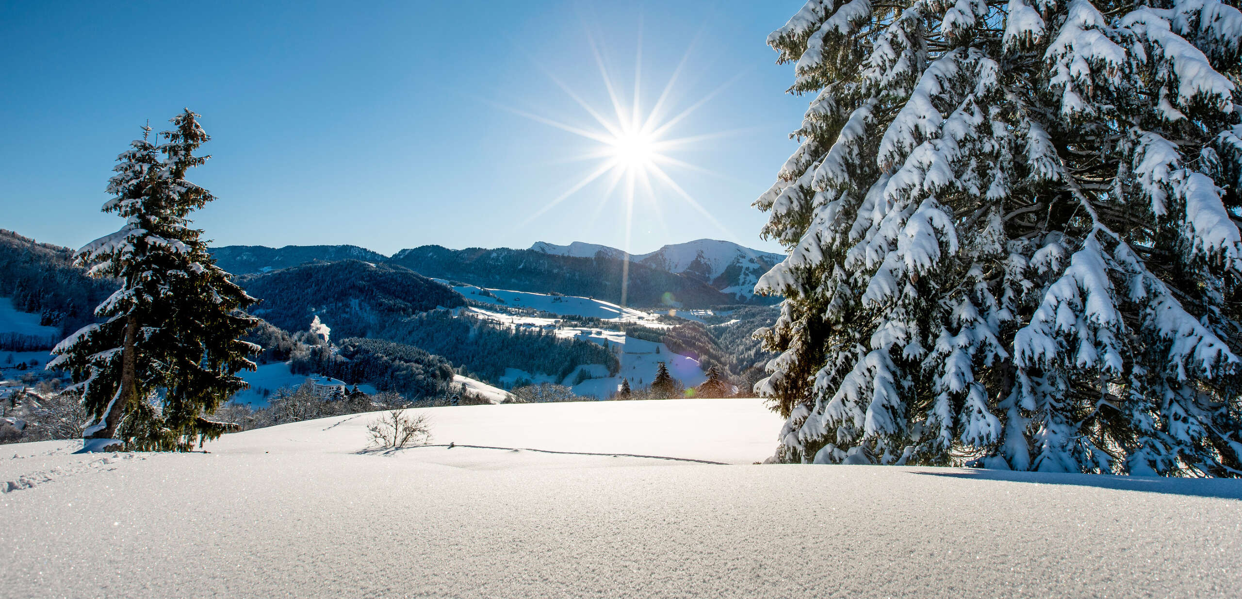 Allgäuer Winterwunderland Unberührte Natur, glitzernder Tiefschnee und die Wintersonne machen Oberstaufen im Allgäu zum Winterwunderland.