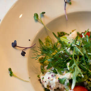 Salatteller mit leckeren Kräutern Salatteller mit leckeren Kräutern