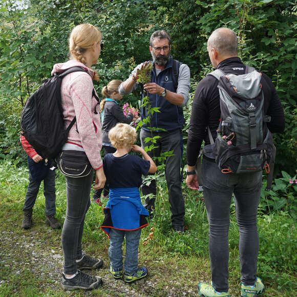 Geführte Wanderung für Familien mit Wanderführer Theo in Oberstaufen