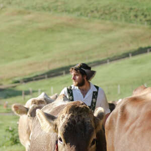 Viehscheid in Oberstaufen