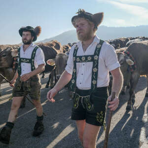 Hirten treiben Vieh ins Tal im Allgäu