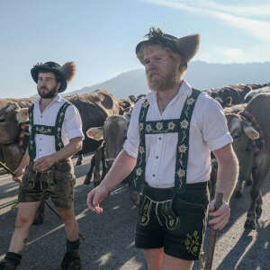 Älpler mit Herde am Viehscheid in Oberstaufen
