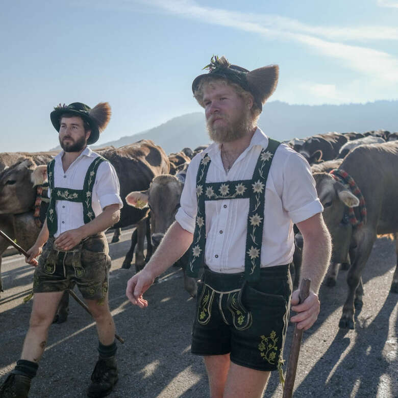 Viehscheid im Spätsommer in Oberstaufen erleben