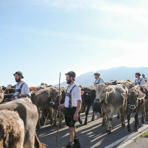 Der Viehscheid in Oberstaufen lockt zahlreiche Besucher an