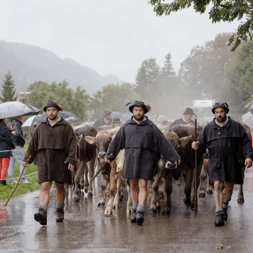 Alpe beim Viehscheid in Thalkirchdorf