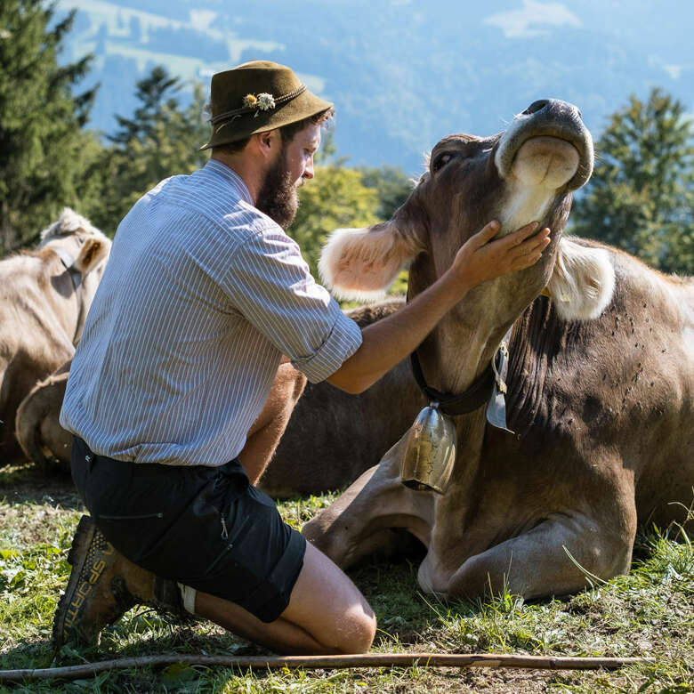 Älpler Ferdinand mit seinem Vieh auf der Alpwiese in Oberstaufen