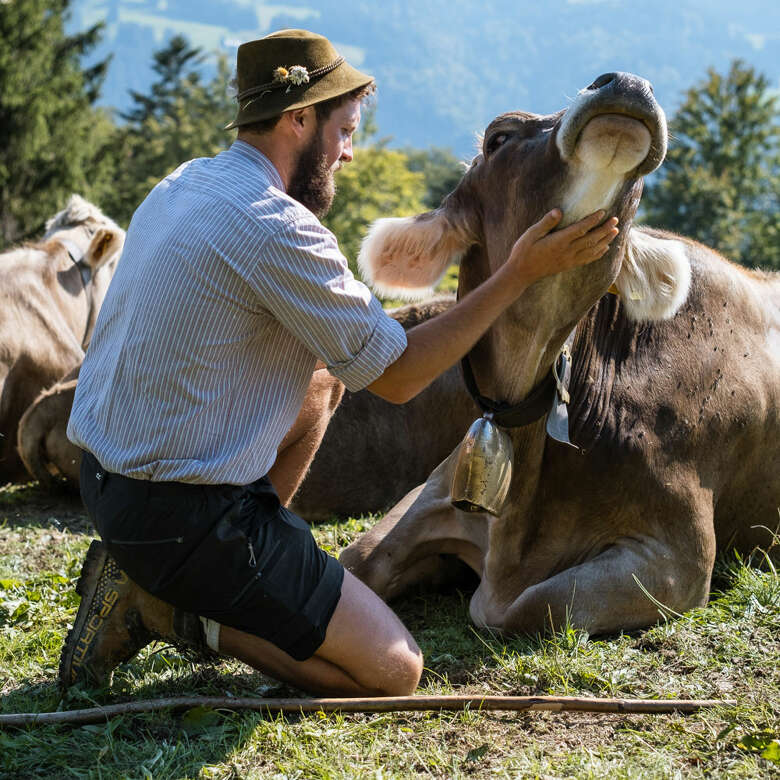 Die Arbeit mit dem Vieh gefällt Älpler Ferdi am besten.