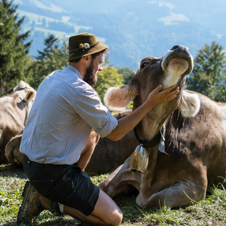 Alpsommer in Oberstaufen im Allgäu auf den Alpen und Hütten