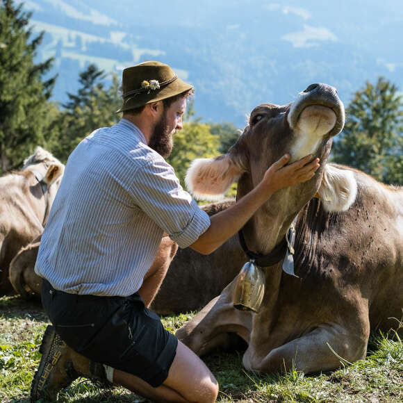 Älpler Ferdinand streichelt ein Rind auf seiner Alpwiese in Oberstaufen
