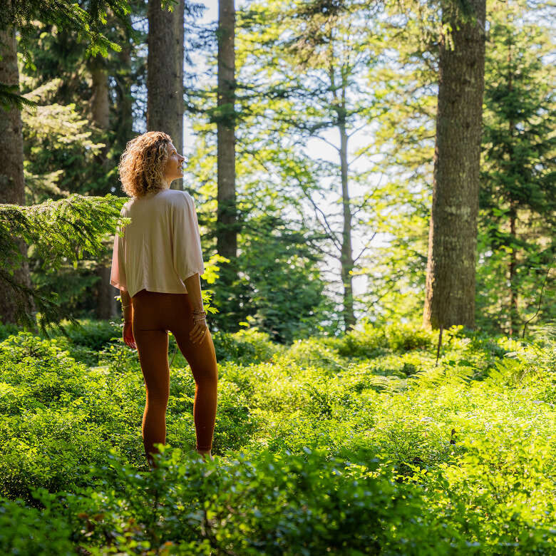 Walden im heilklimatischen Kurort