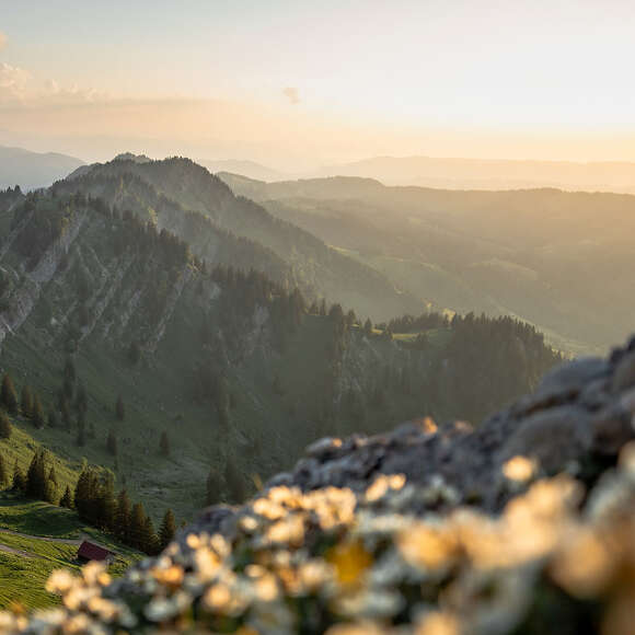 Bergpanorama der westlichen Nagelfluhkette im Sonnenuntergang