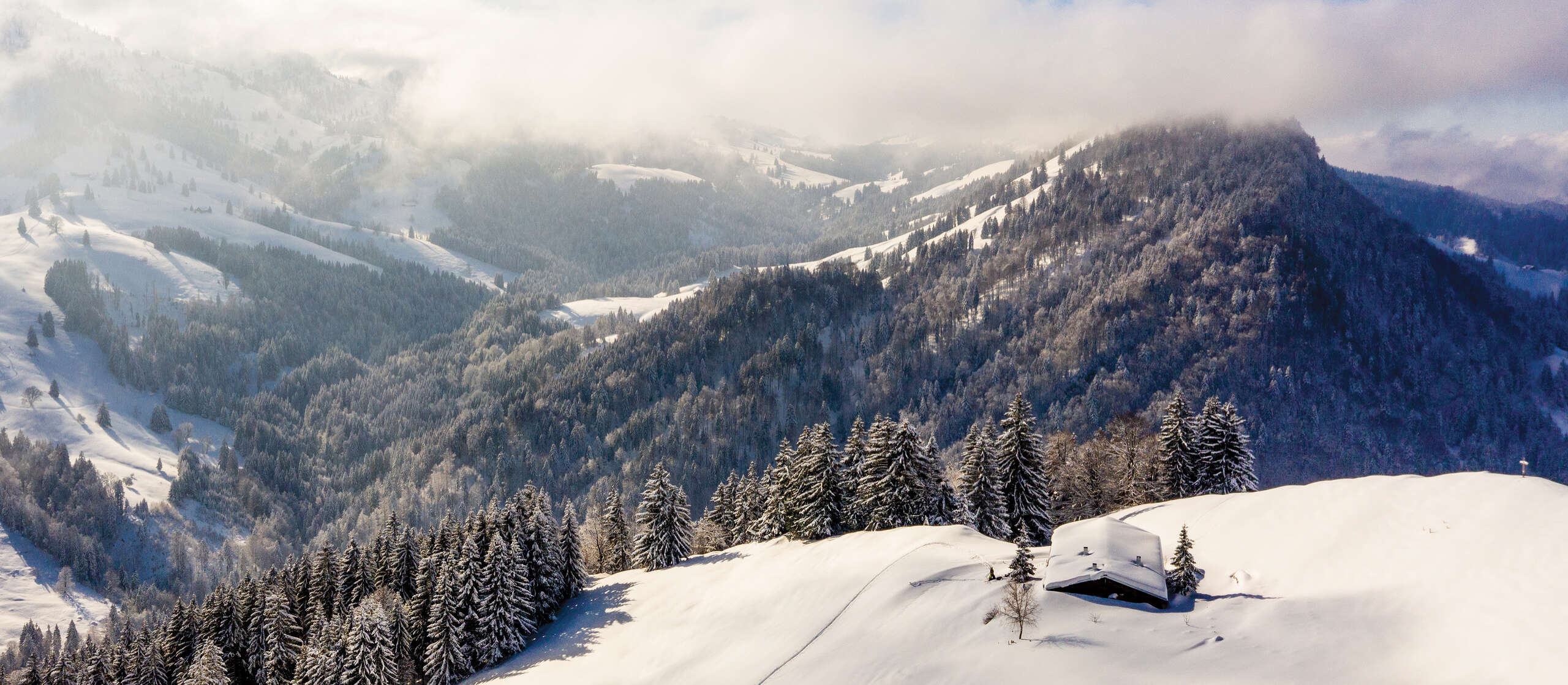 Verschneite Berge und Wälder um Oberstaufen aus der Luft.