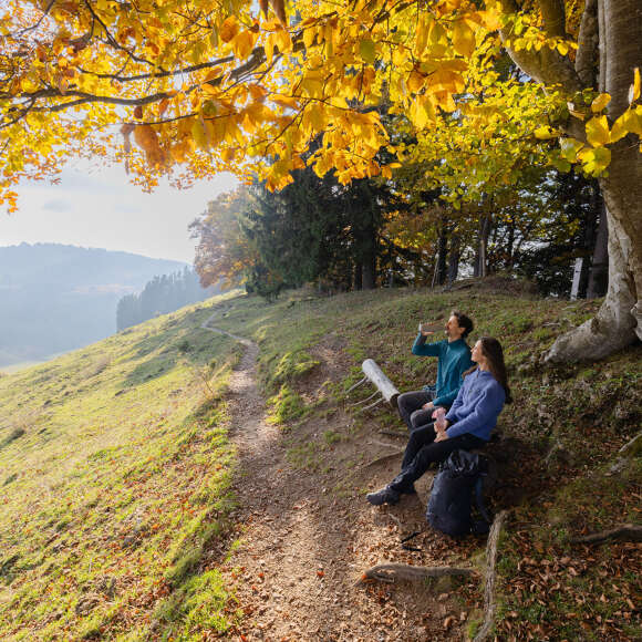 Pausenort Herbstwanderung Zwei Wanderer machen bei einer Herbstwanderung eine Pause auf einer Bank, umgeben von goldgelb gefärbten Bäumen.
