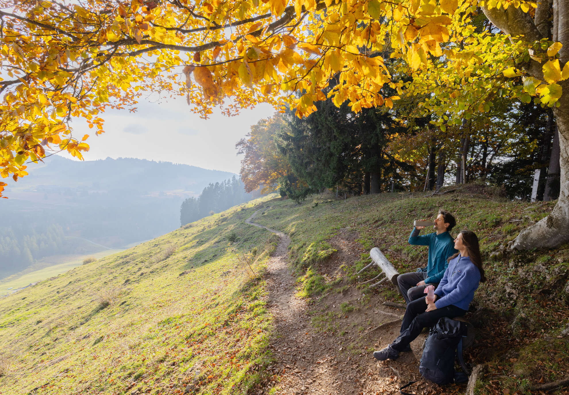 Pausenort Herbstwanderung Zwei Wanderer machen bei einer Herbstwanderung eine Pause auf einer Bank, umgeben von goldgelb gefärbten Bäumen.