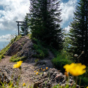 Wanderweg mit Nagelfluhgestein zur Porta Alpinae und Bergblick im Sommer