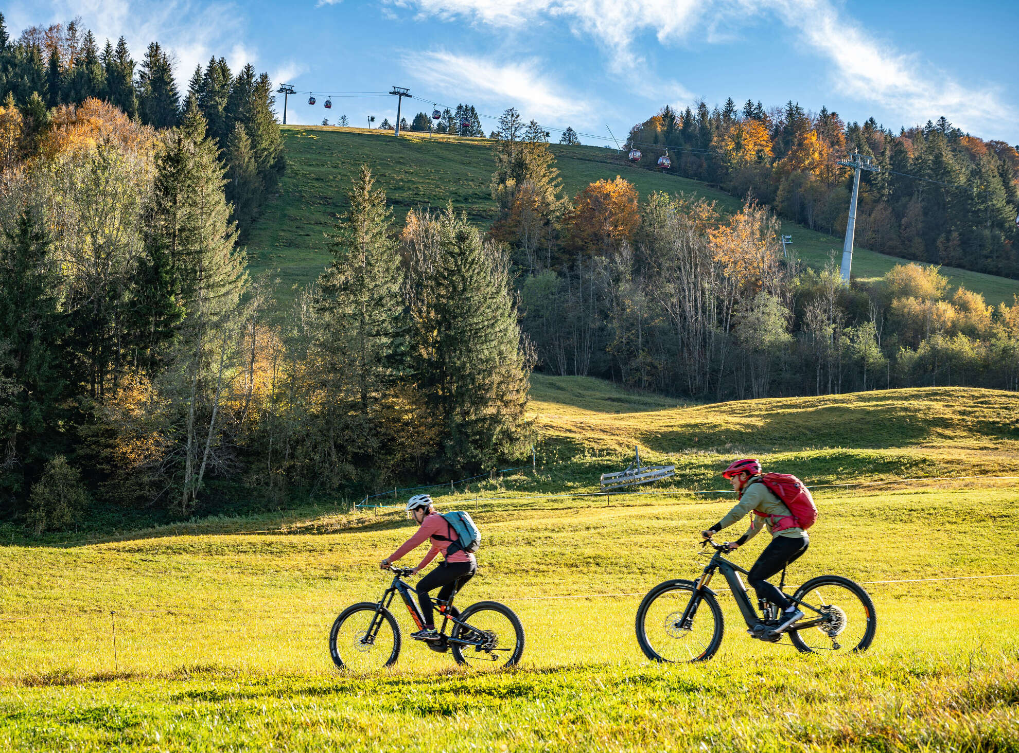 Radfahrer am Hündle Zwei Radfahrer fahren durch die bunt gefärbte Landschaft am Hündle in Oberstaufen vorbei.
