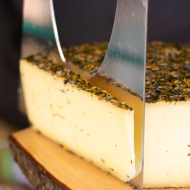 Ein Stück Käse Ein Stück Käse wird vom Laib geschnitten