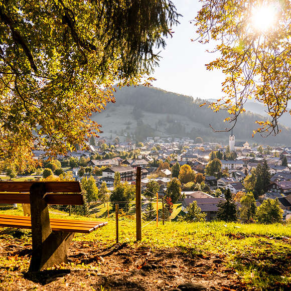 Tiefes Sonnenlicht bricht durch die Bäume auf der ortsnahen Kapfwaldrunde