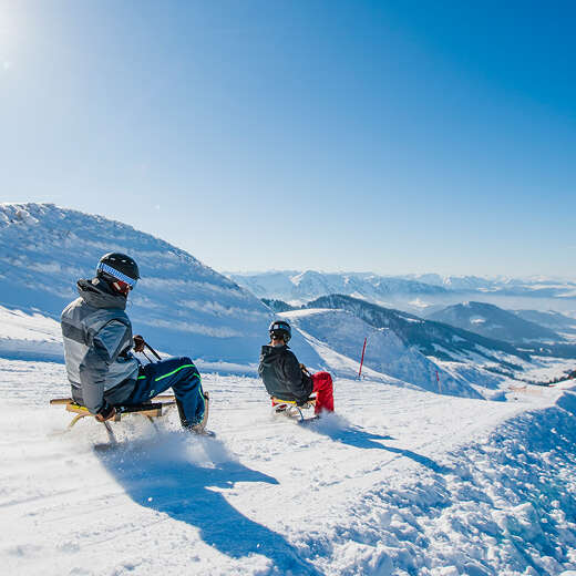 Rodeln am Hochgrat mit Bergpanorama der verschneiten Allgäuer Alpen.