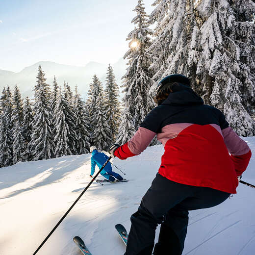 Skifahren in verschneiter Natur auf den Pisten der Skiarena Steibis