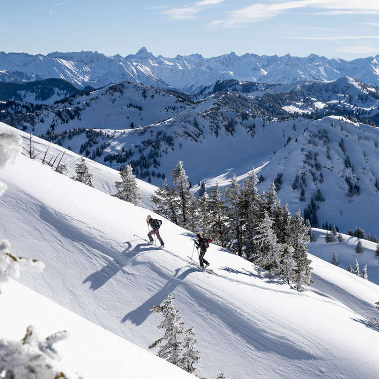 Skitour am Hochgrat mit dem Panorama der Allgäuer Alpen