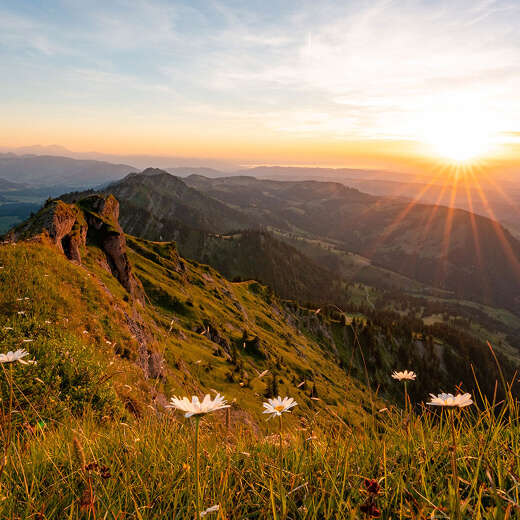 Ausblick vom Hochgrat auf die Bergwelt von Oberstaufen im Sonnenuntergang im Sommer