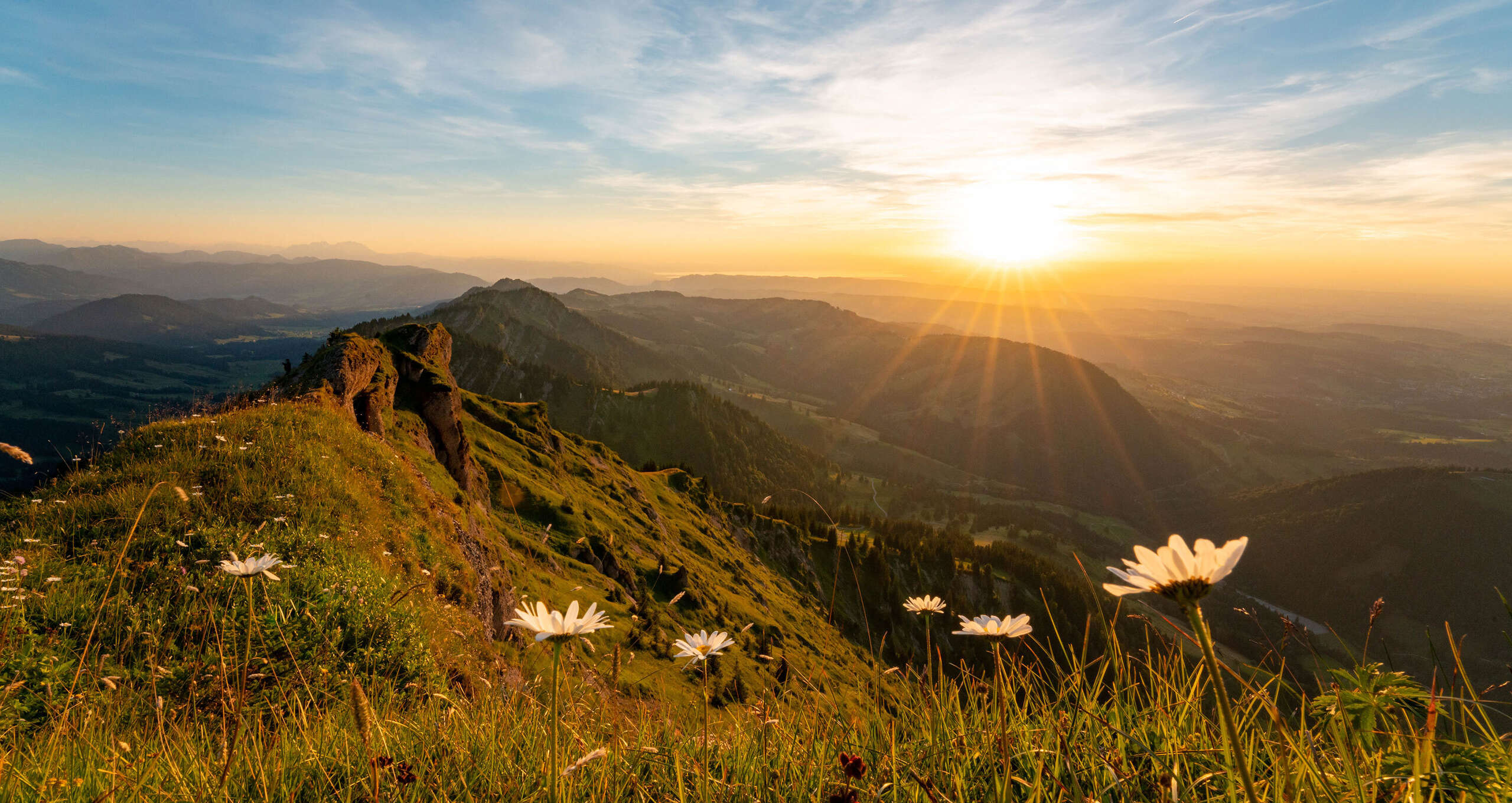 Ausblick vom Hochgrat auf die Bergwelt von Oberstaufen im Sonnenuntergang im Sommer