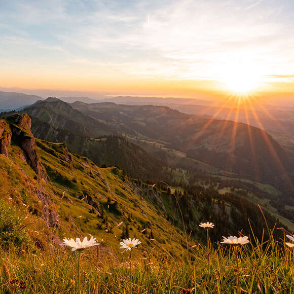 Ausblick vom Hochgrat auf die Bergwelt von Oberstaufen im Sonnenuntergang im Sommer