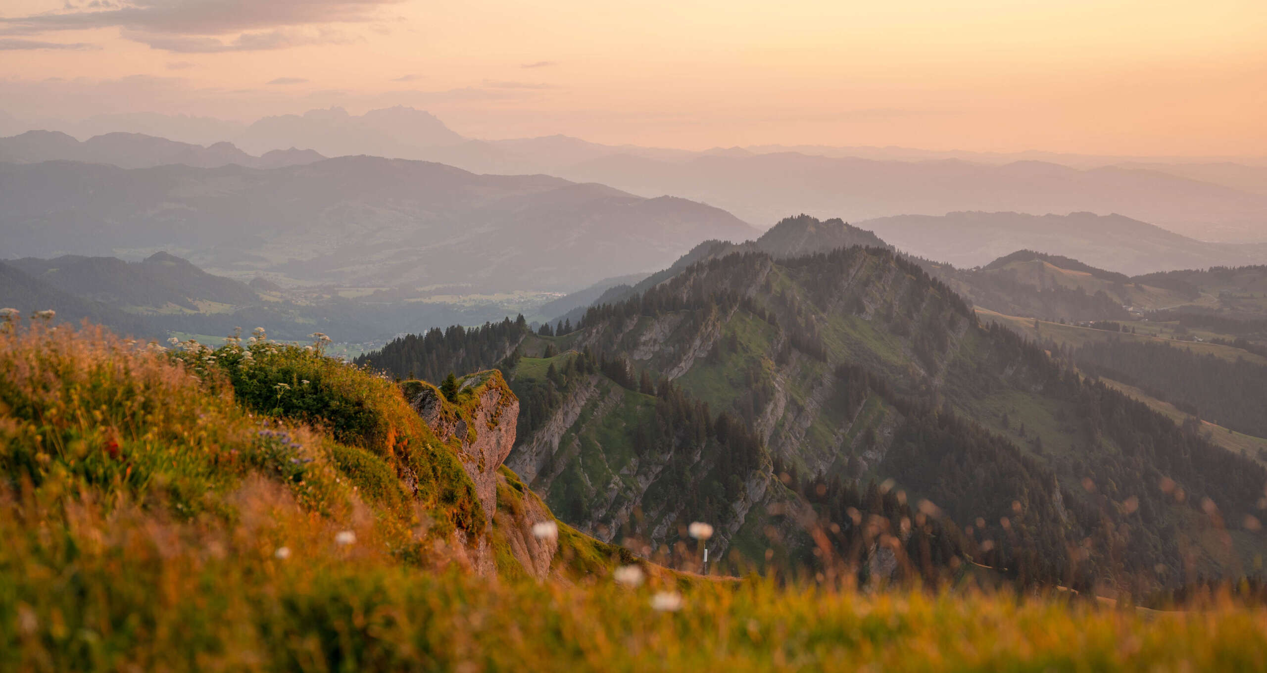 Panorama der Nagelfluhkette, Allgäuer und Schweizer Alpen in Abendstimmung im Sommer.