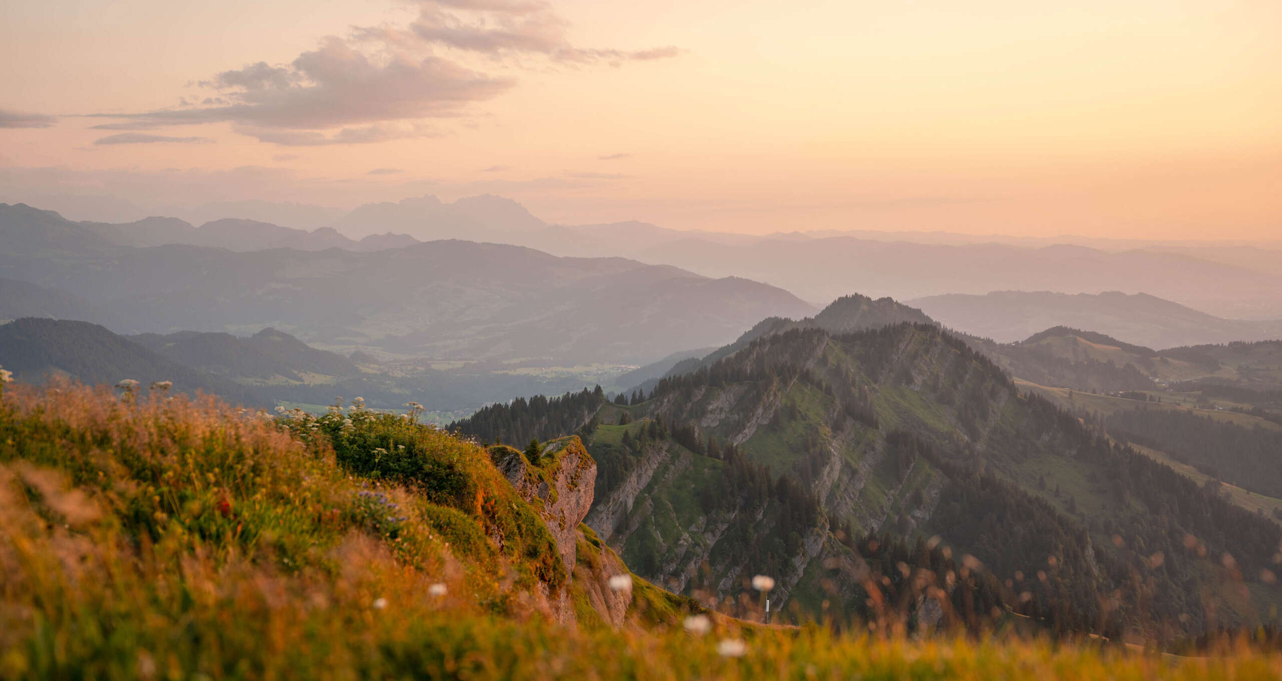 Panorama der Allgäuer und Schweizer Alpen Panorama der Nagelfluhkette, Allgäuer und Schweizer Alpen in Abendstimmung im Sommer.