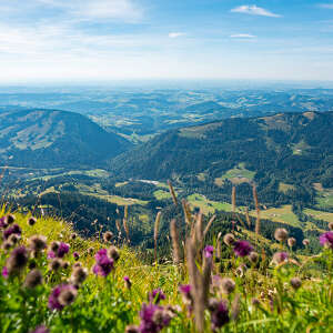 Ausblick auf die grüne Natur und Lanschaft mit Bergen von Oberstaufen
