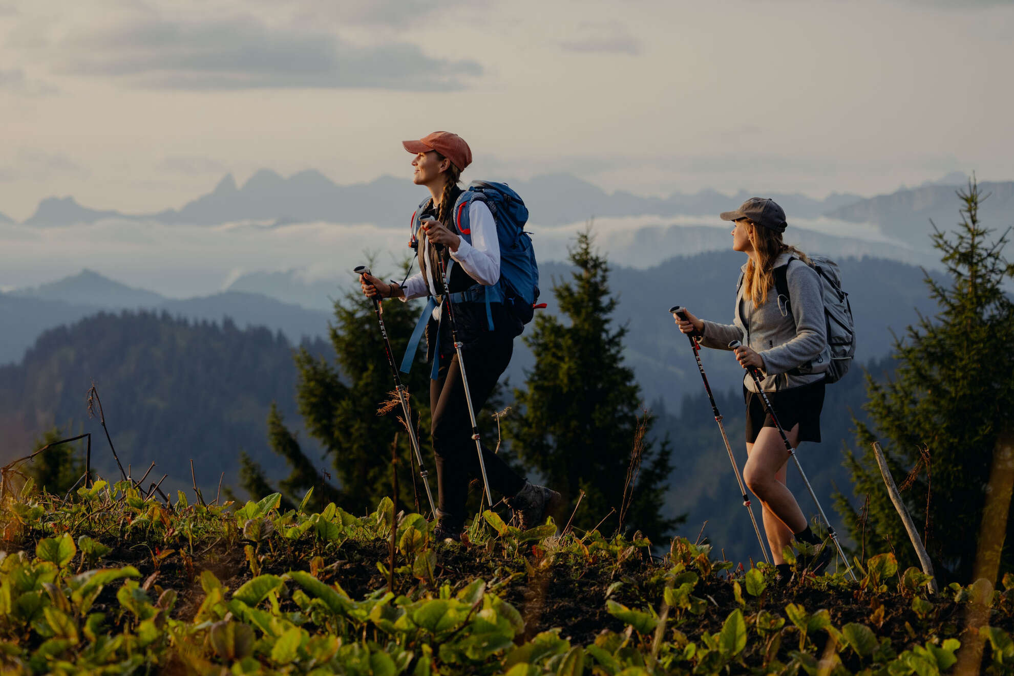 Wandern im Sommer in Oberstaufen Wandern im Sommer in Oberstaufen