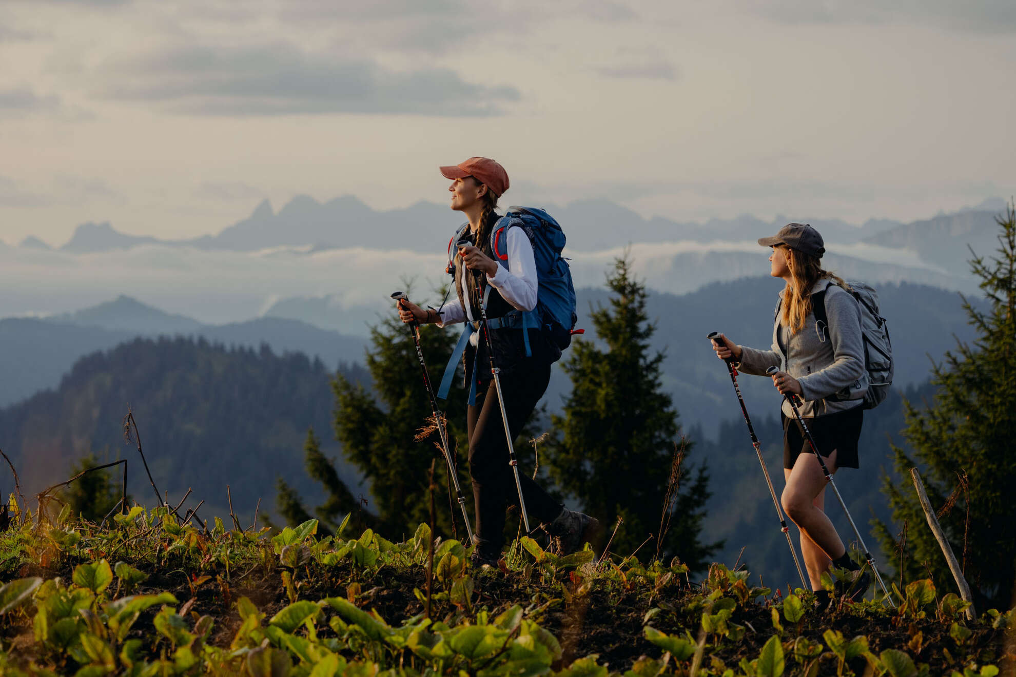 Wandern im Sommer in Oberstaufen Wandern im Sommer in Oberstaufen