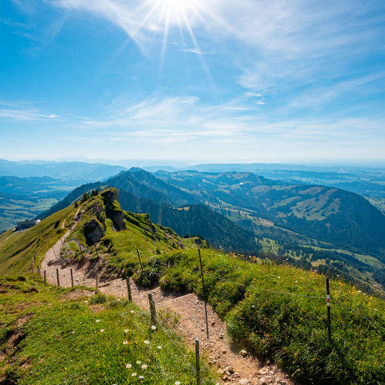 Wanderweg am Hochgrat mit blühenden Bergwiesen mit Weitblick über die Berge von Oberstaufen