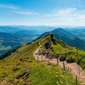 Wanderweg am Hochgrat mit blühenden Bergwiesen mit Weitblick über die Berge von Oberstaufen