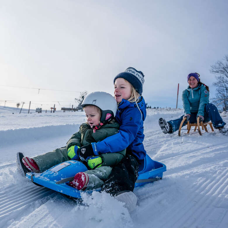 Familie beim Rodeln in Sinswang bei Oberstaufen