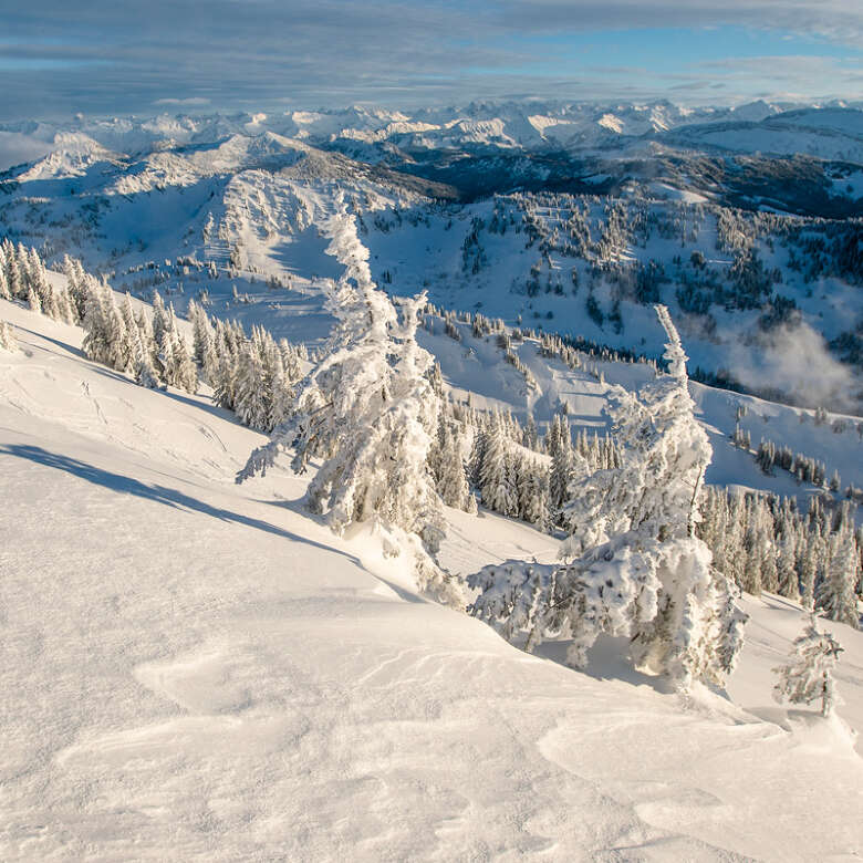 Panorama der Allgäuer Berge in Stebis bei Oberstaufen im Allgäu im Winter.