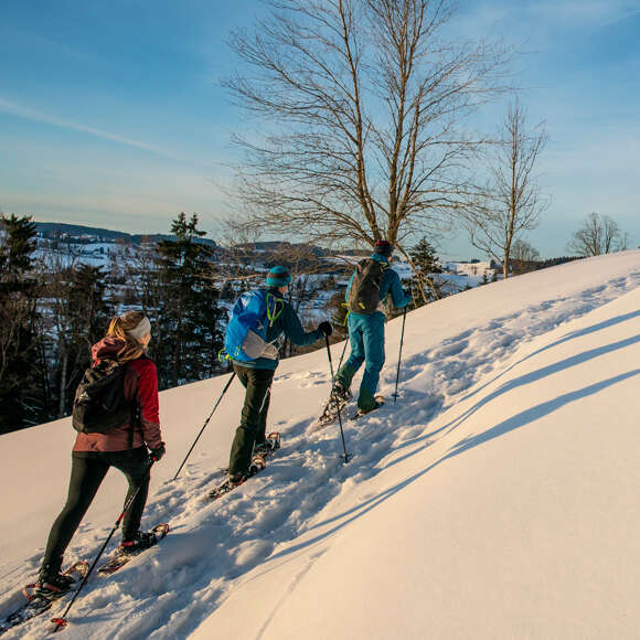 Drei Schneeschuhwanderer in verschneiter Allgäuer Natur.