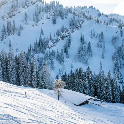 Verschneite Hütte am Hochgrat im Winter.