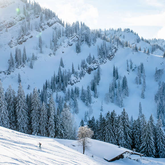 Beim Schneeschuhwandern im Allgäu die verschneite Bergwelt erleben. Der Hochgrat bei Oberstaufen beeindruckt dabei mit weiten Ausblicken und einer atemberaubenden Natur.