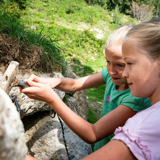 Kinder entdecken die Natur in Oberstaufen