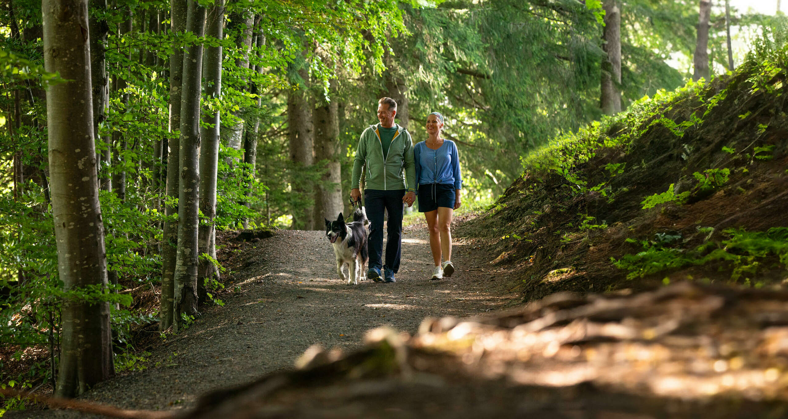 Beim Spazieren mit dem Hund in der Natur von Oberstaufen gibt es viel zu entdecken.