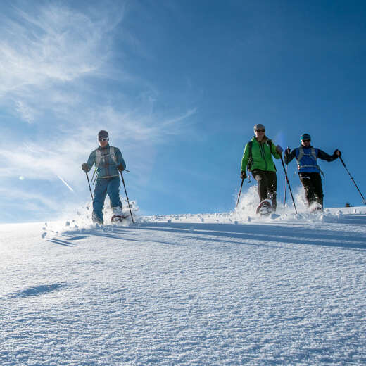 Drei Schneeschuhgeher laufen an einem sonnigen Tag mit den Schneeschuhen bergab durch den Tiefschnee.