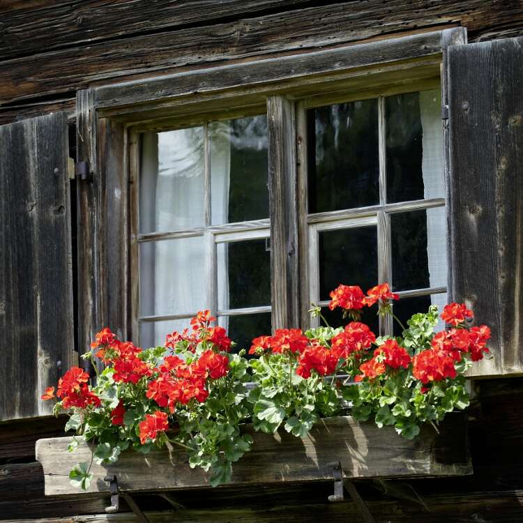 Bauernhausmuseum s´Huimatle