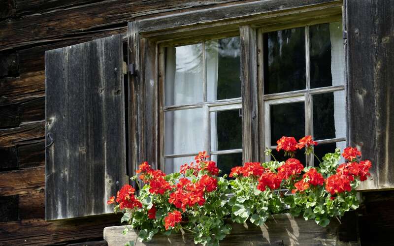 Heimat und Tradition zeichnet das Allgäu aus. In Oberstaufen wird das Brauchtum in den Heimatmuseen sichtbar.